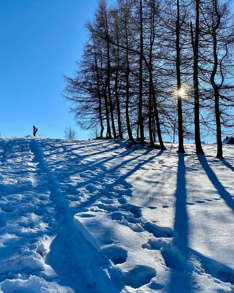 Фотография автора Светлана Герасимук