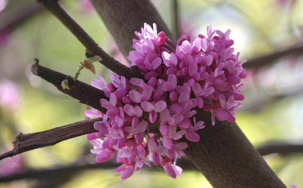 Photograph by Титова Наталья