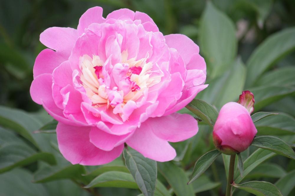 Photograph by Титова Наталья