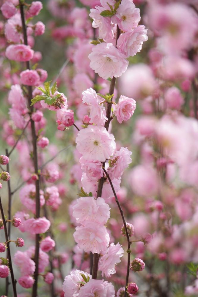 Photograph by Титова Наталья