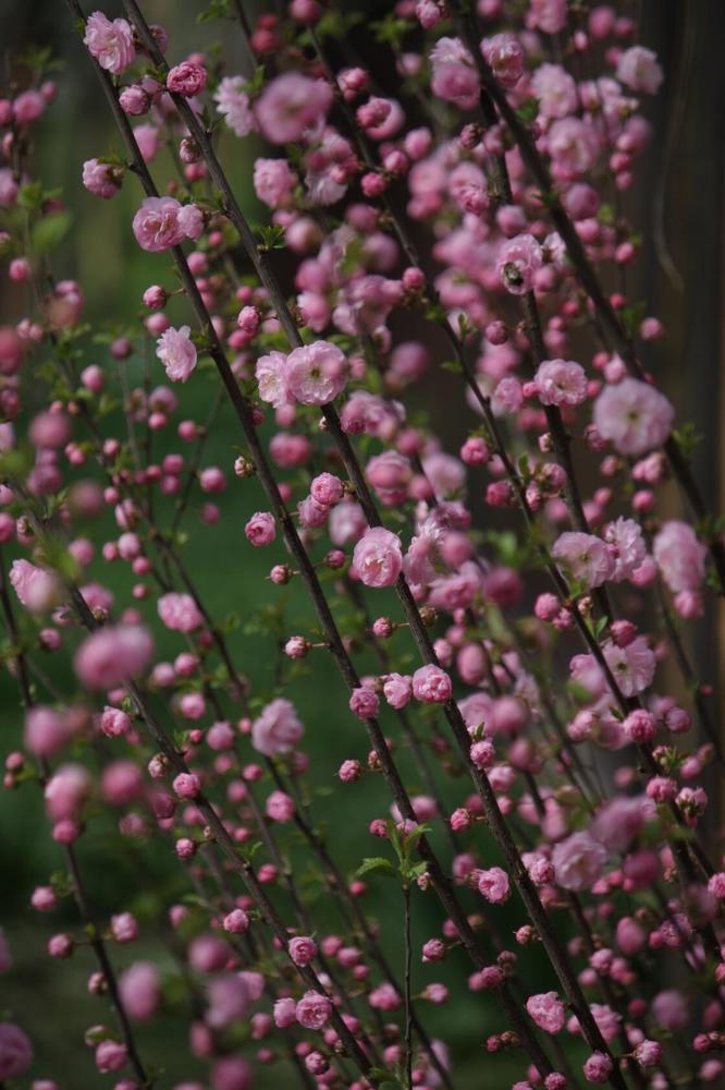 Photograph by Титова Наталья