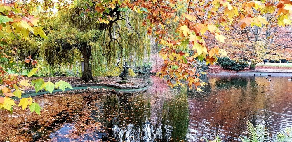 Фотография автора Наталья