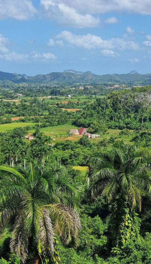 Фотография автора Наталья