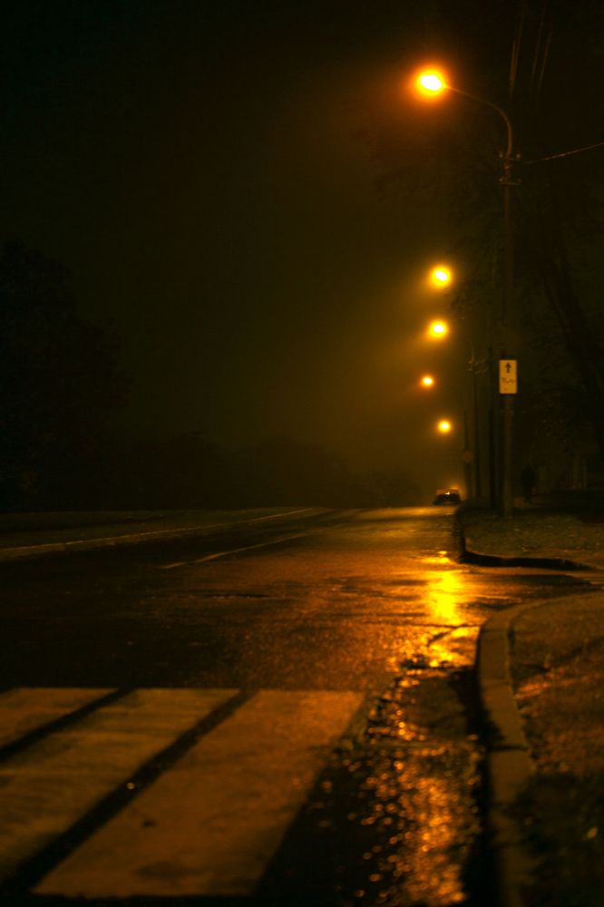 Photograph by Полина Драгон