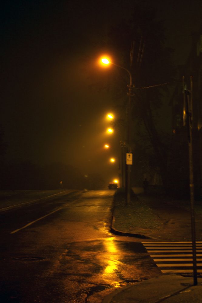 Photograph by Полина Драгон