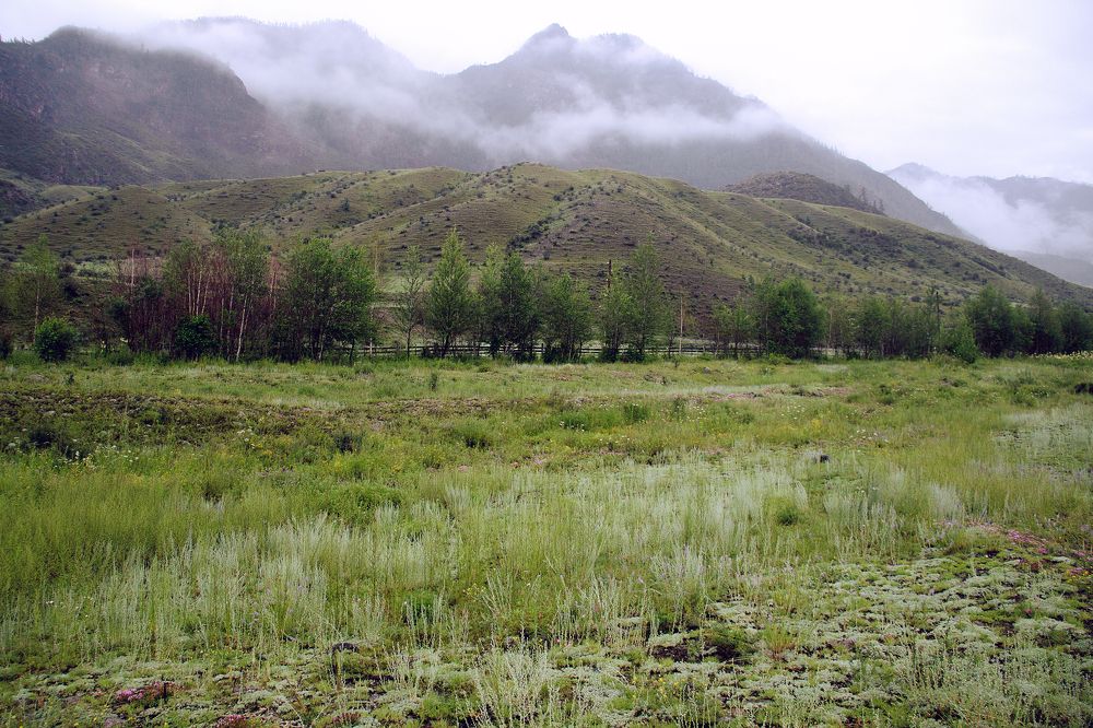 Photograph by Андрей Шрайнер