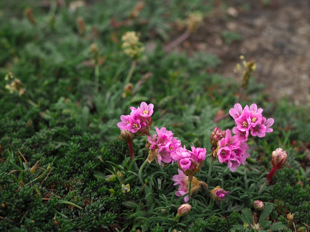 Photograph by Александра Шилова