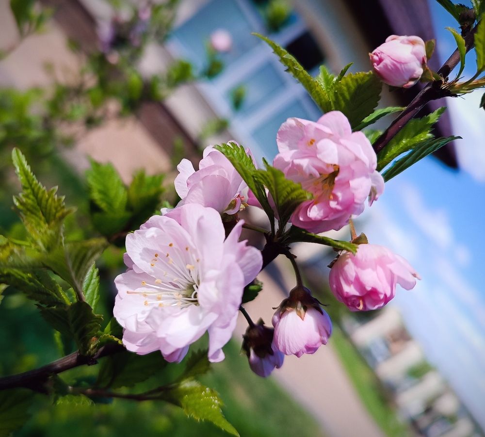 Photograph by Сидорова Ирина