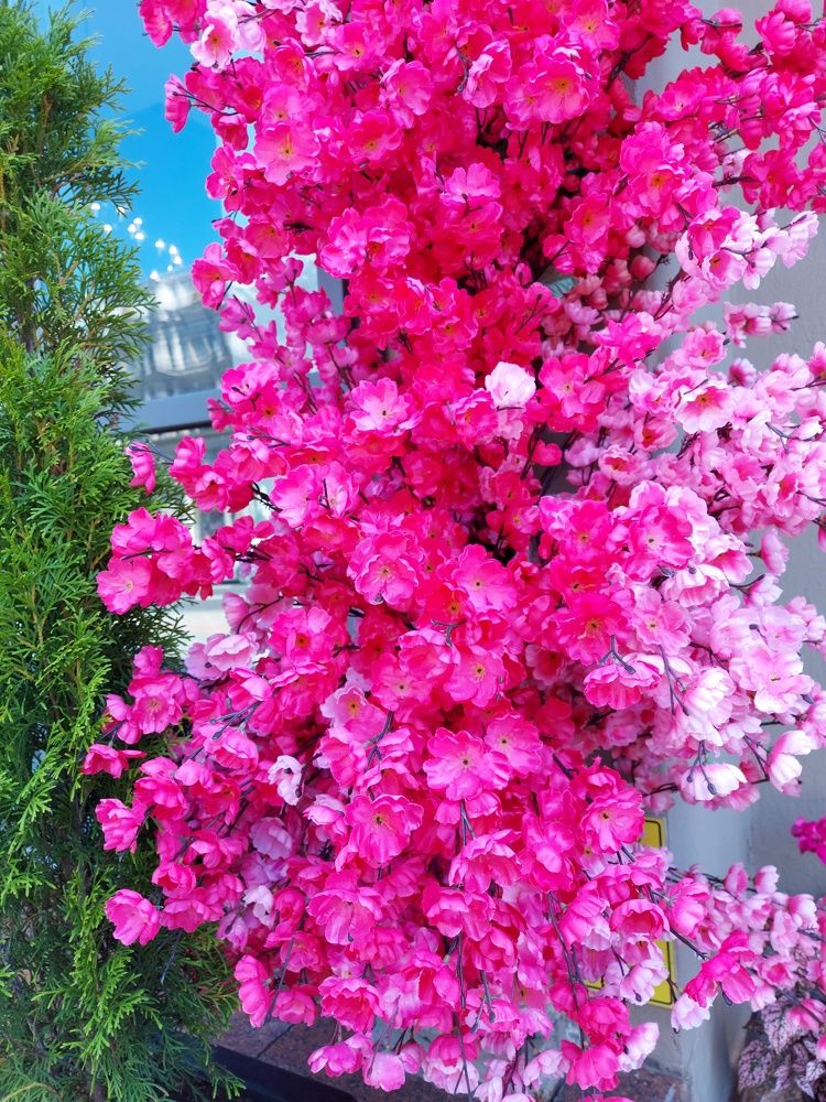 Photograph by ЭЛЬМИРА  ИСМАИЛОВА