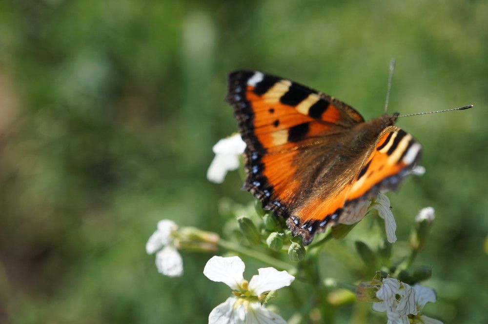 Photograph by Надежда Яковлева