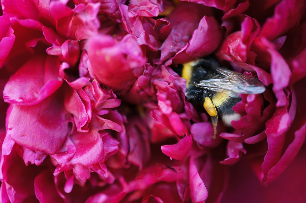 Photograph by Надежда Яковлева