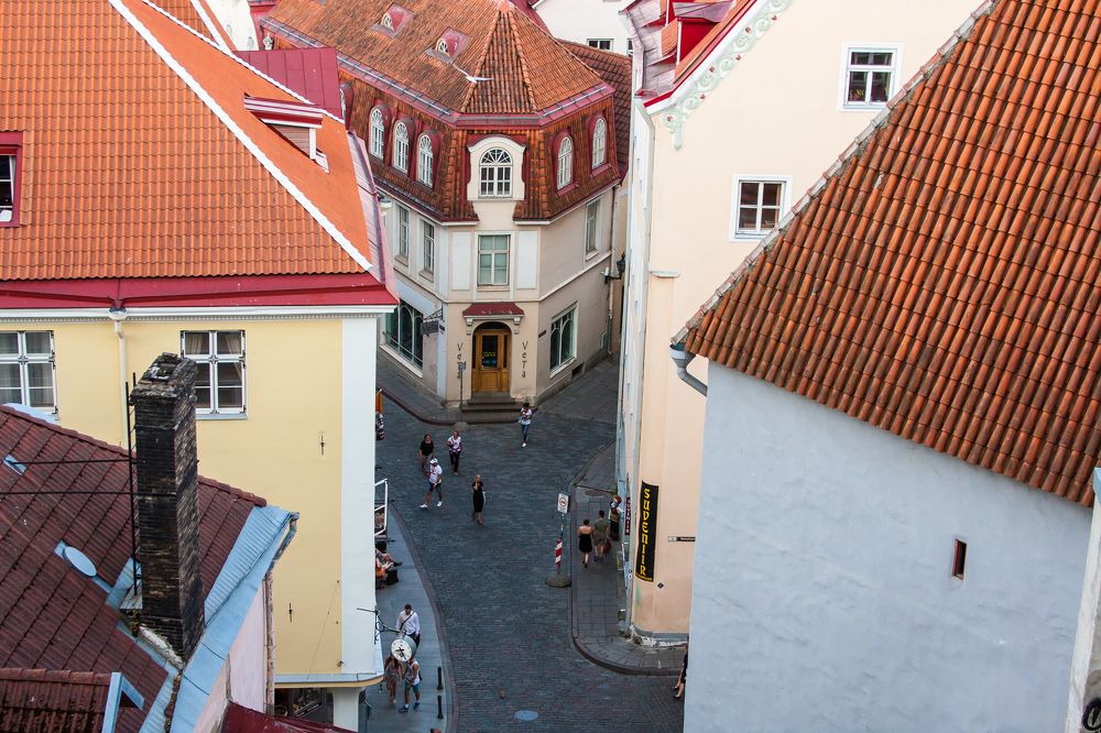 Photograph by Анатолий Мигов