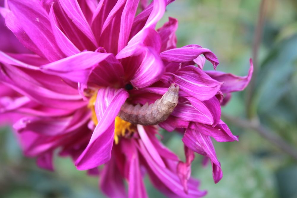 Photograph by Надежда Яковлева