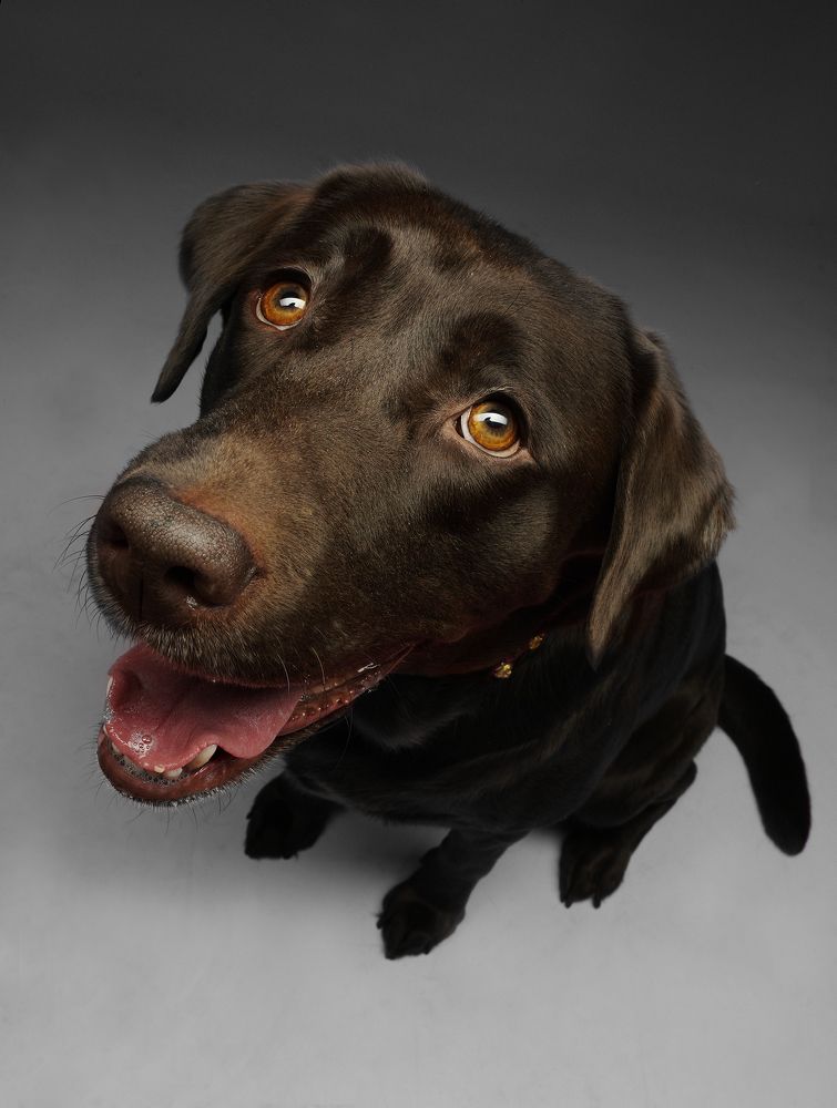 Photograph by Igor Sakharov