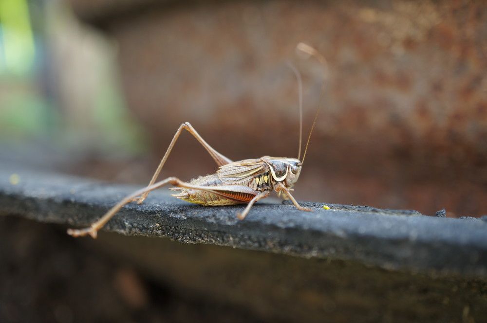 Photograph by Надежда Яковлева