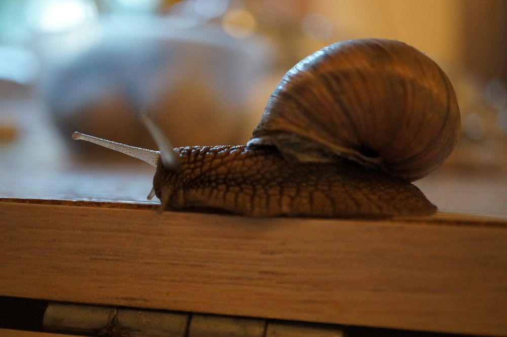 Photograph by Надежда Яковлева