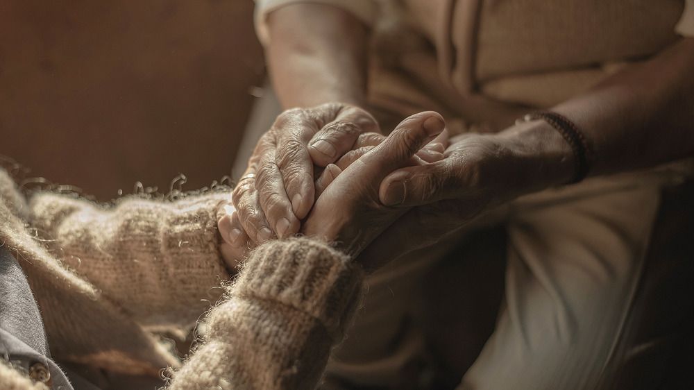 Фотография автора Anastasia Struna