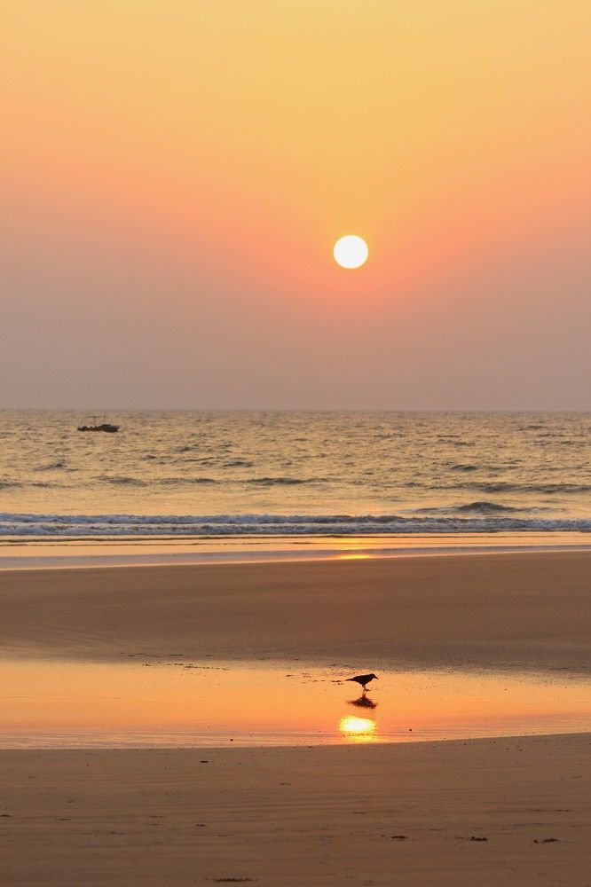 Photograph by Manish (Valmie) Joshi