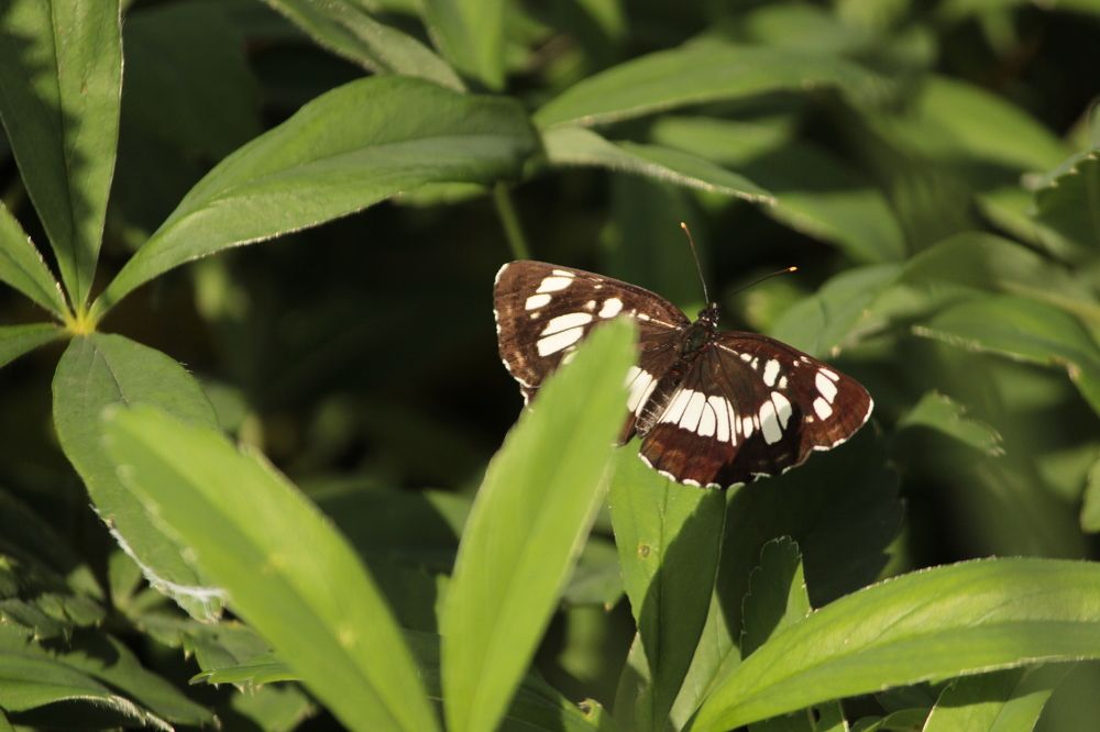 Photograph by Екатерина Александровна