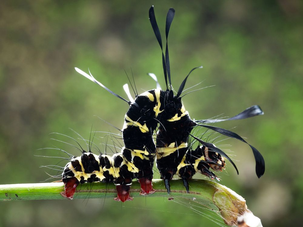 Photograph by TAN LING ZI