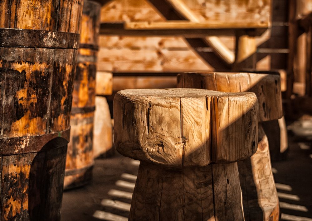 Photograph by Dragan Leles