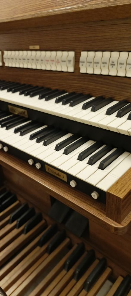 Фотография автора Светлана Митрофанова