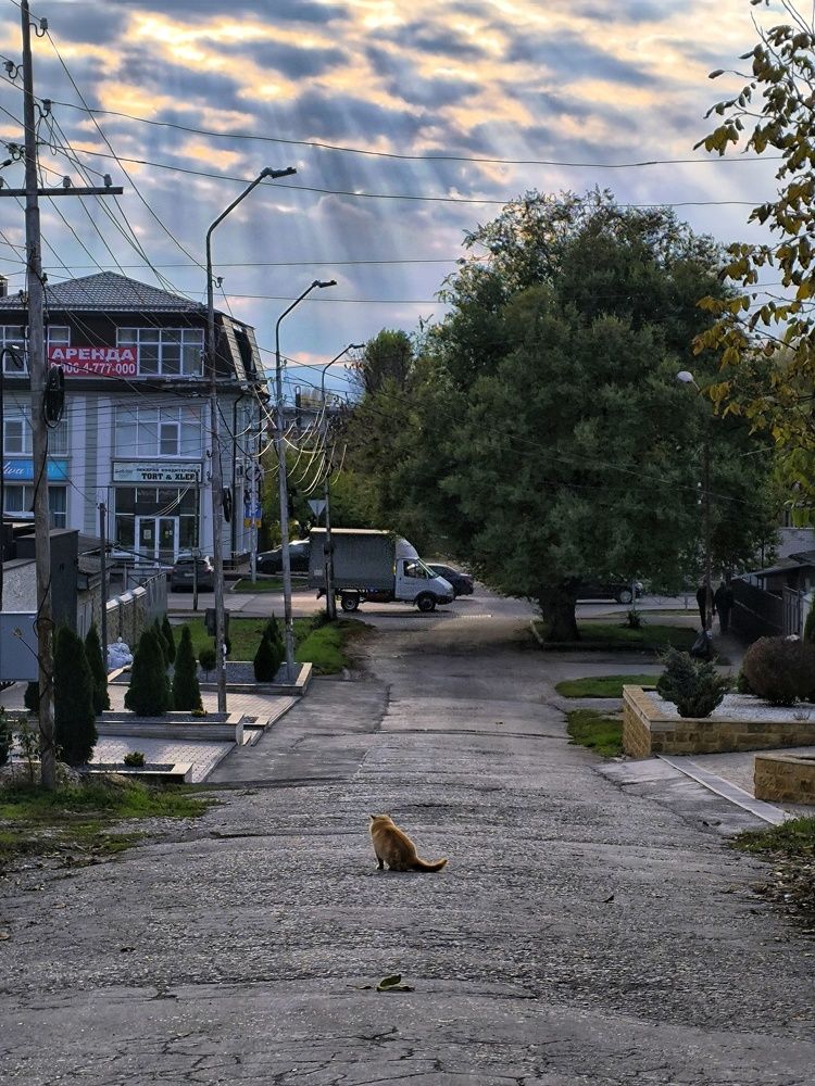 Photograph by Андрей Прокопенко