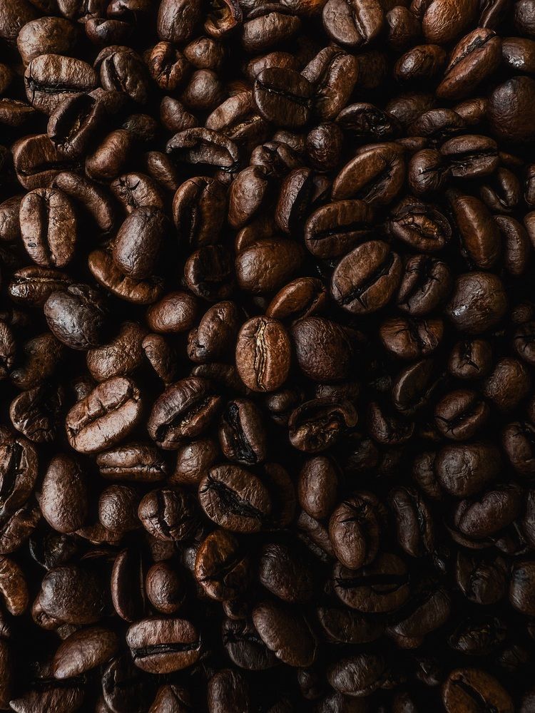 Photograph by Ekaterina Vinogradova