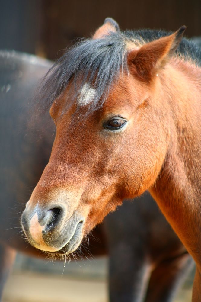 Photograph by Светлана Шуткова