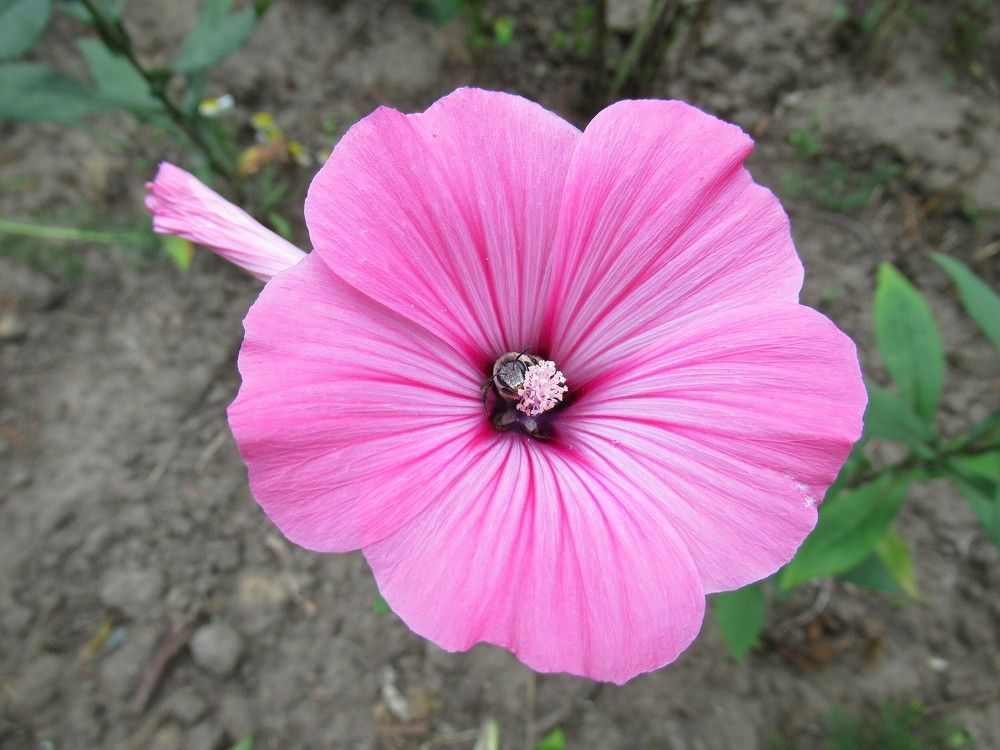 Photograph by Владимир