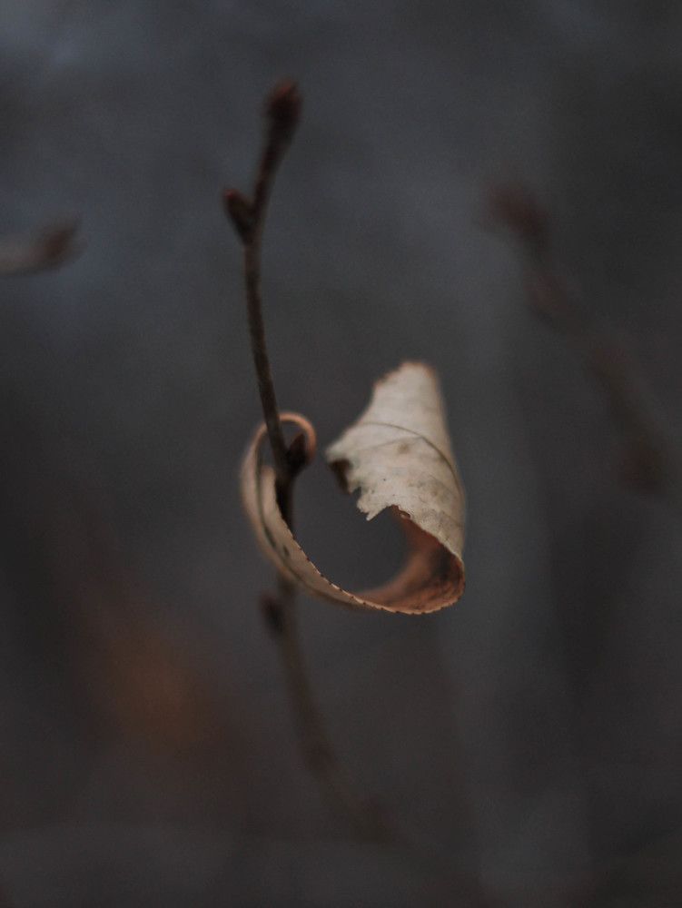 Photograph by Любовь Иванова