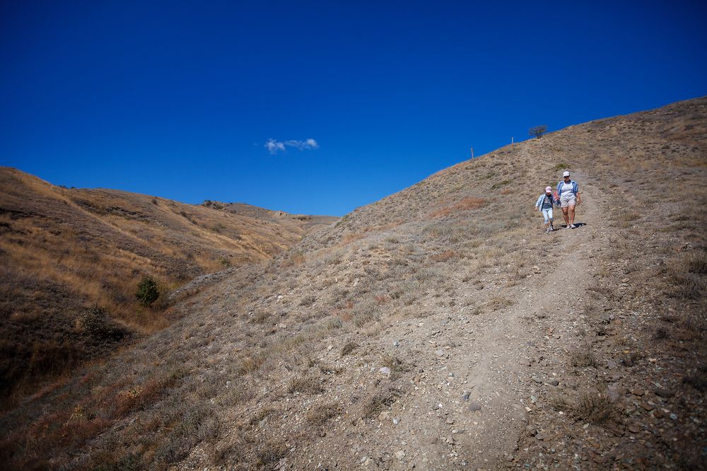 Photograph by Алексей Трифонов