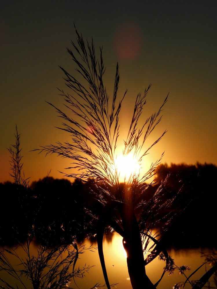 Photograph by Егор Жук