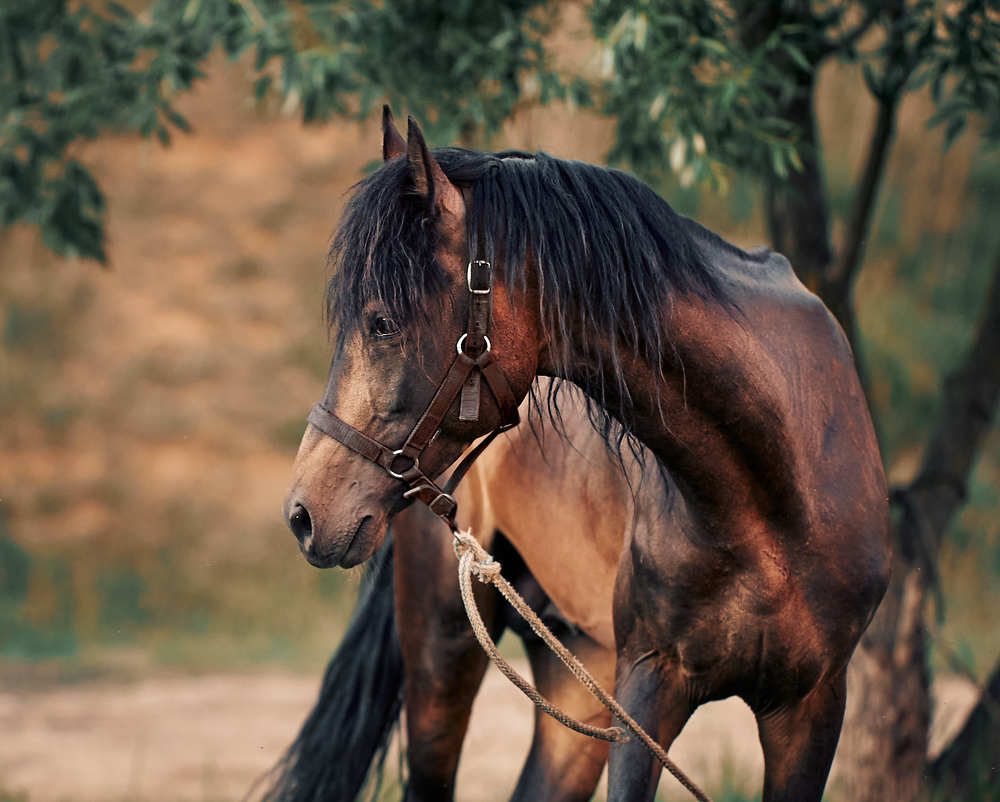 Photograph by Mikhail Khmelevskiy