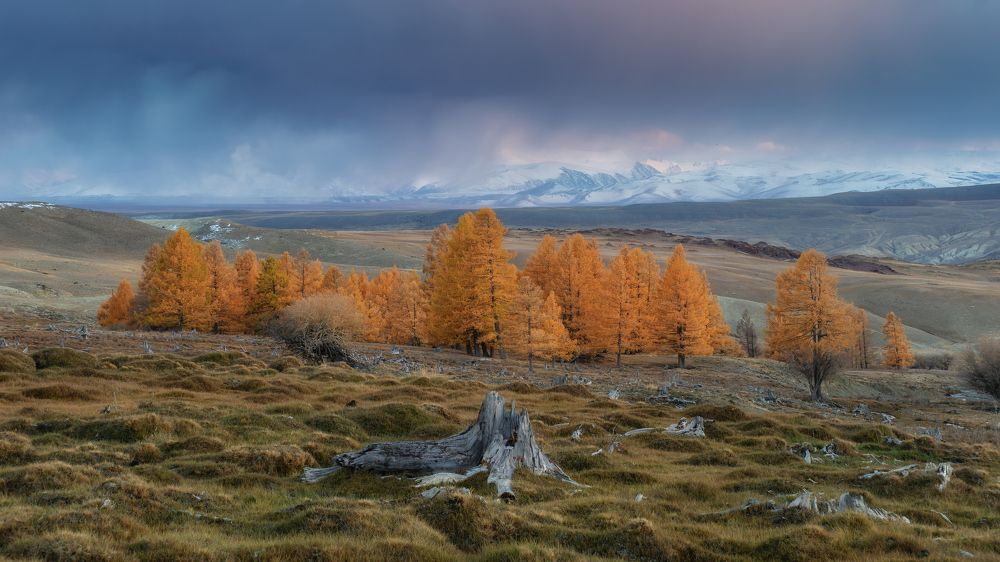 Photograph by Мозжухин Максим