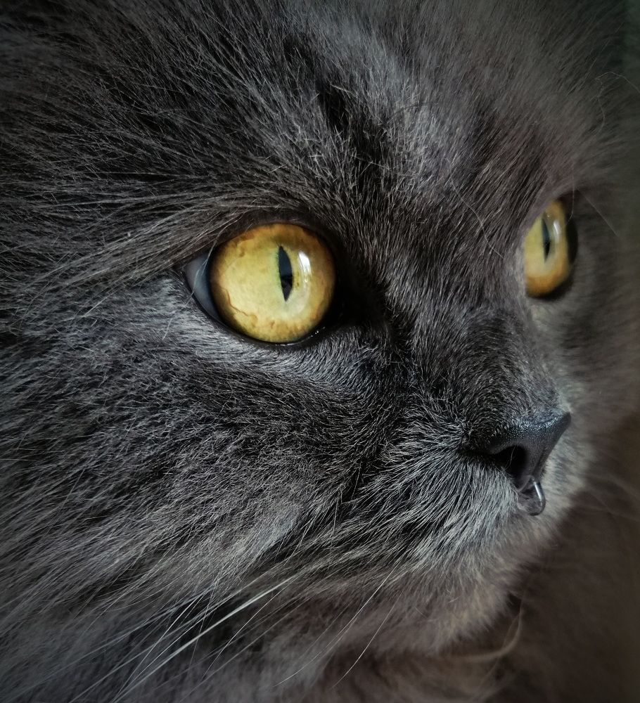 Photograph by Кристина Рыбина