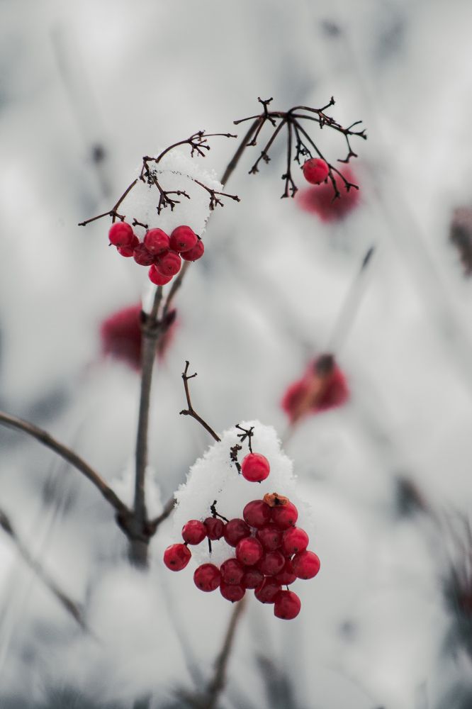 Photograph by Владимир Пилюков
