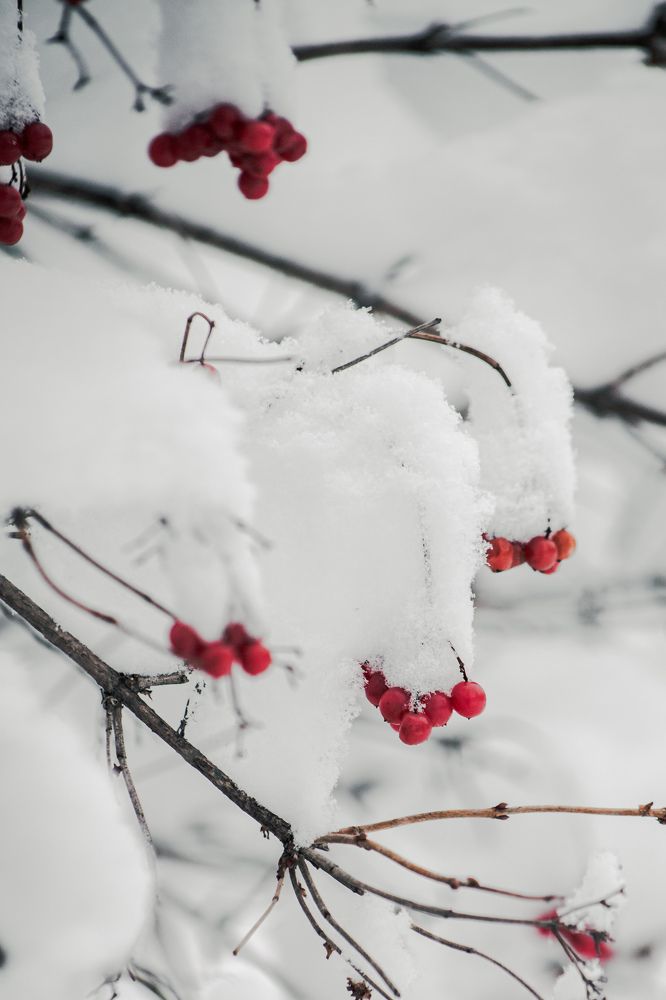 Photograph by Владимир Пилюков