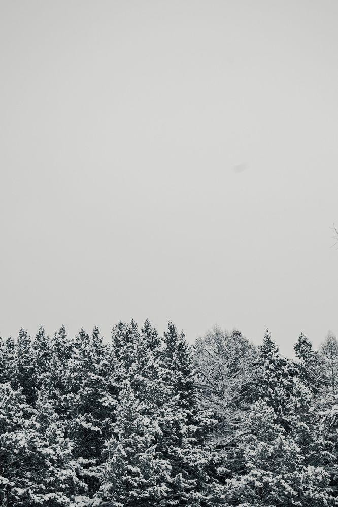 Photograph by Владимир Пилюков