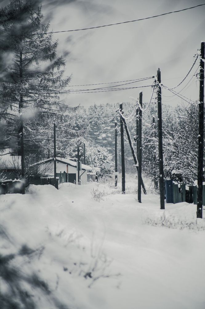 Photograph by Владимир Пилюков