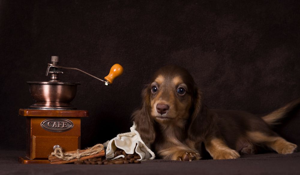 Photograph by Антонина Копытина