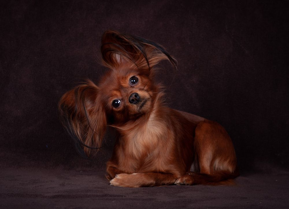 Photograph by Антонина Копытина