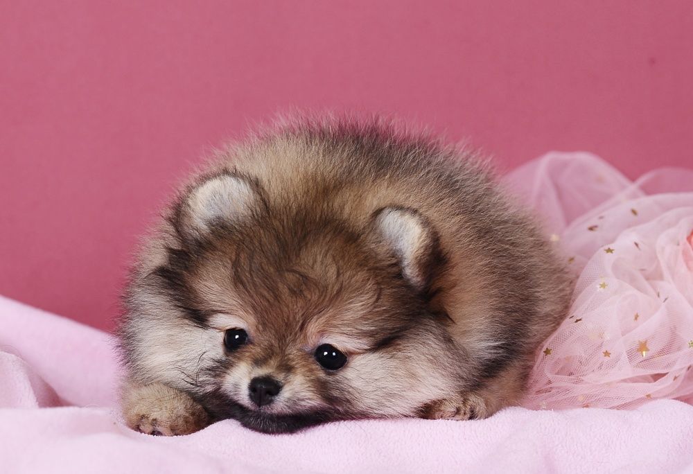 Photograph by Антонина Копытина