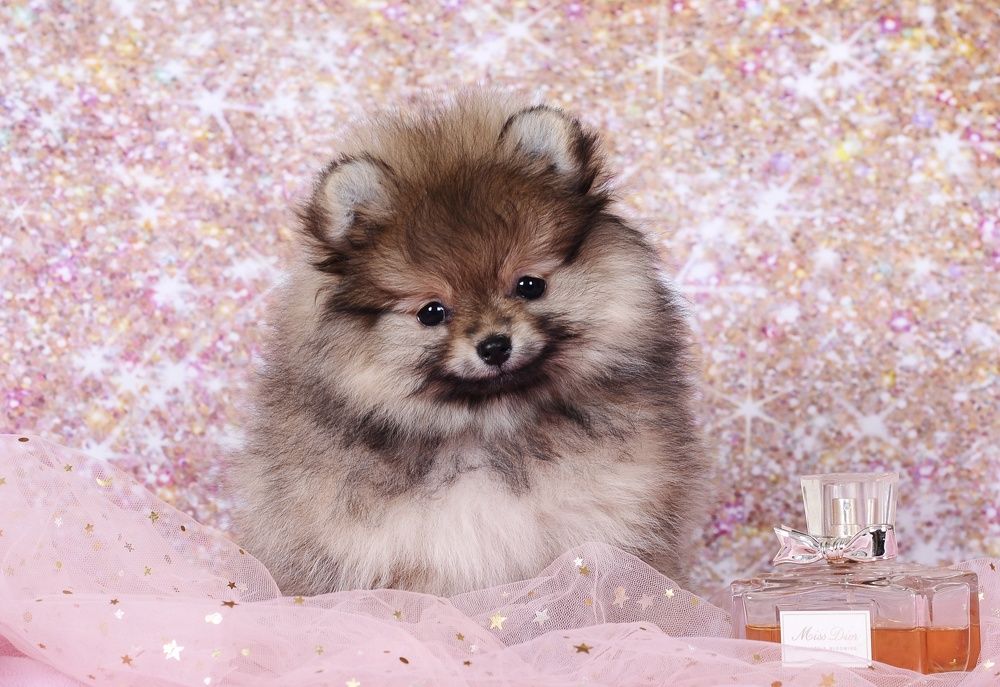 Photograph by Антонина Копытина