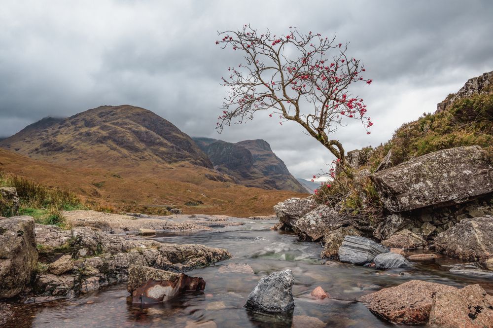 Photograph by Ben De Winter