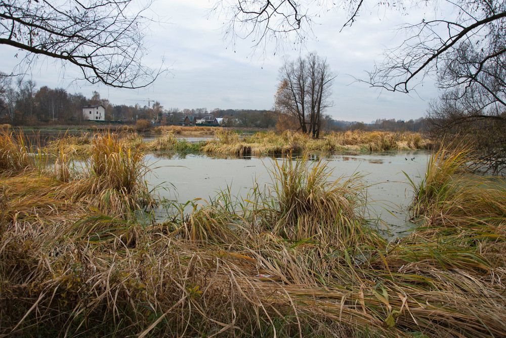 Photograph by Екатерина @Arigata