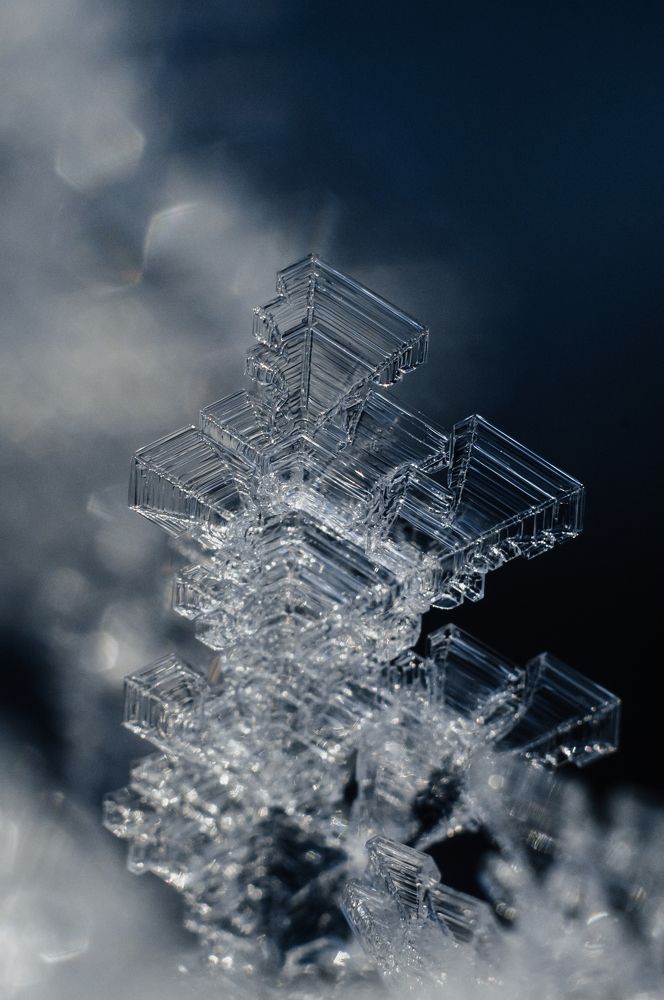 Фотография автора Мария Михайлова