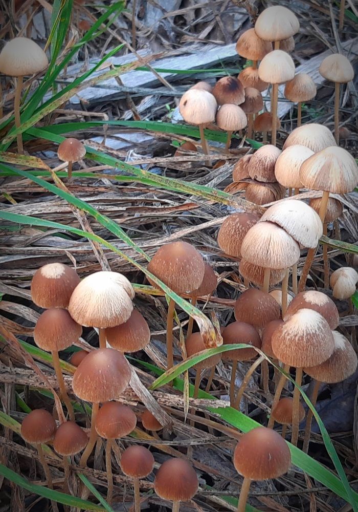 Photograph by Екатерина