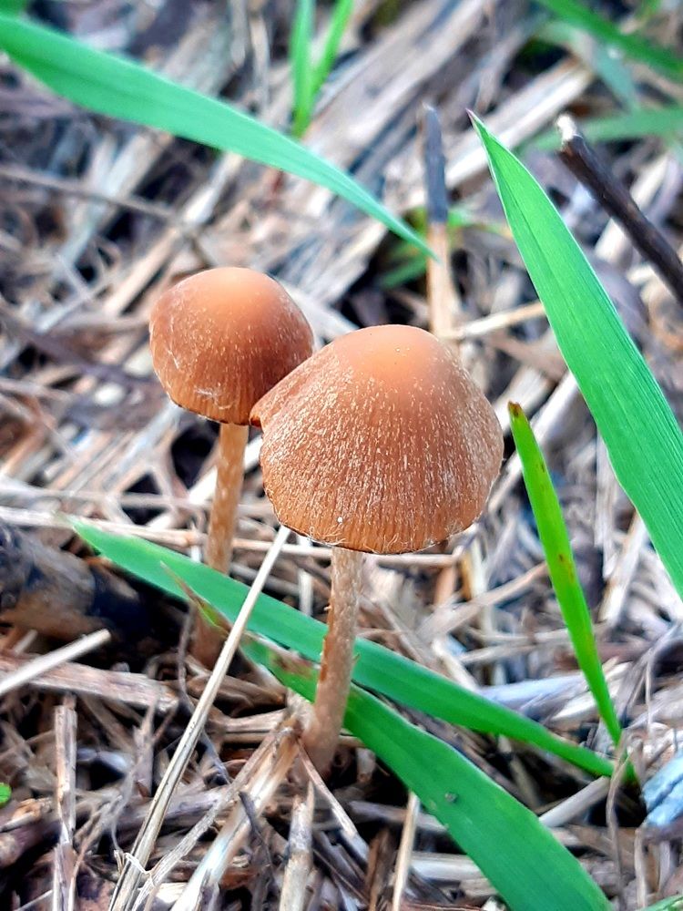 Photograph by Екатерина