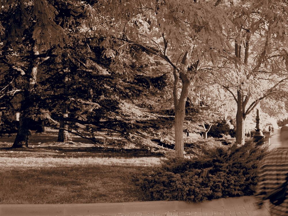 Photograph by Сергей Борисов